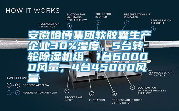 安徽哈博集團(tuán)軟膠囊生產(chǎn)企業(yè)30%濕度，5臺(tái)轉(zhuǎn)輪除濕機(jī)組，1臺(tái)60000風(fēng)量，4臺(tái)45000風(fēng)量