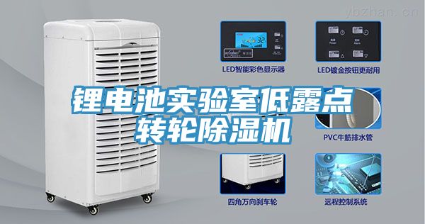 鋰電池實驗室低露點轉(zhuǎn)輪除濕機