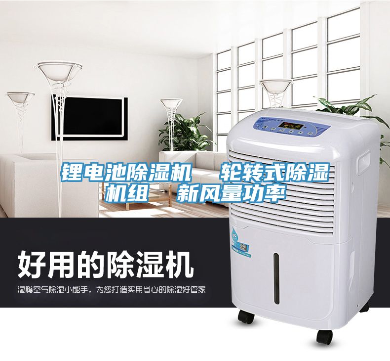 鋰電池除濕機  輪轉(zhuǎn)式除濕機組  新風量功率