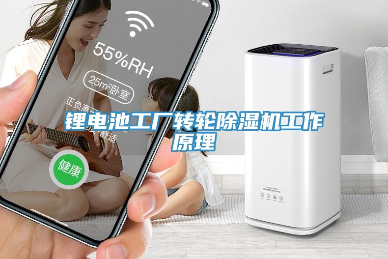 鋰電池工廠轉(zhuǎn)輪除濕機工作原理