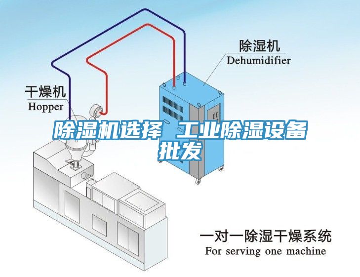 除濕機選擇 工業(yè)除濕設備批發(fā)