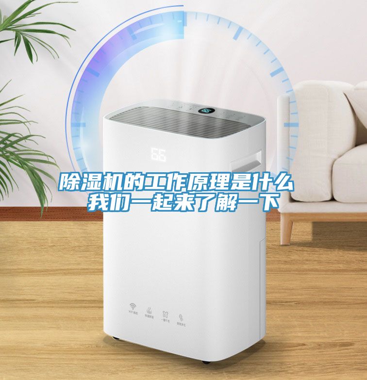 除濕機(jī)的工作原理是什么 我們一起來(lái)了解一下