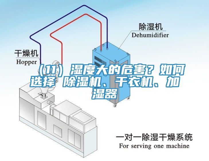 （11）濕度大的危害？如何選擇 除濕機、干衣機、加濕器