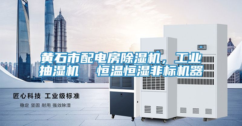 黃石市配電房除濕機，工業(yè)抽濕機  恒溫恒濕非標機器